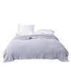 Mexican Blanket Wholesale MOQ 10 Pieces Double-sided Polyester Flannel Plain Solid Soft Plush Warm Four Seasons Winter Bedding