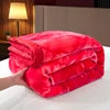 2026 New American Style Double Thickened Home Use Winter Warmth Raschel Blanket
