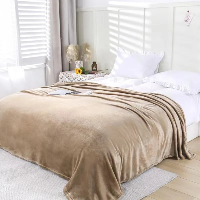 Mexican Blanket Wholesale MOQ 10 Pieces Double-sided Polyester Flannel Plain Solid Soft Plush Warm Four Seasons Winter Bedding