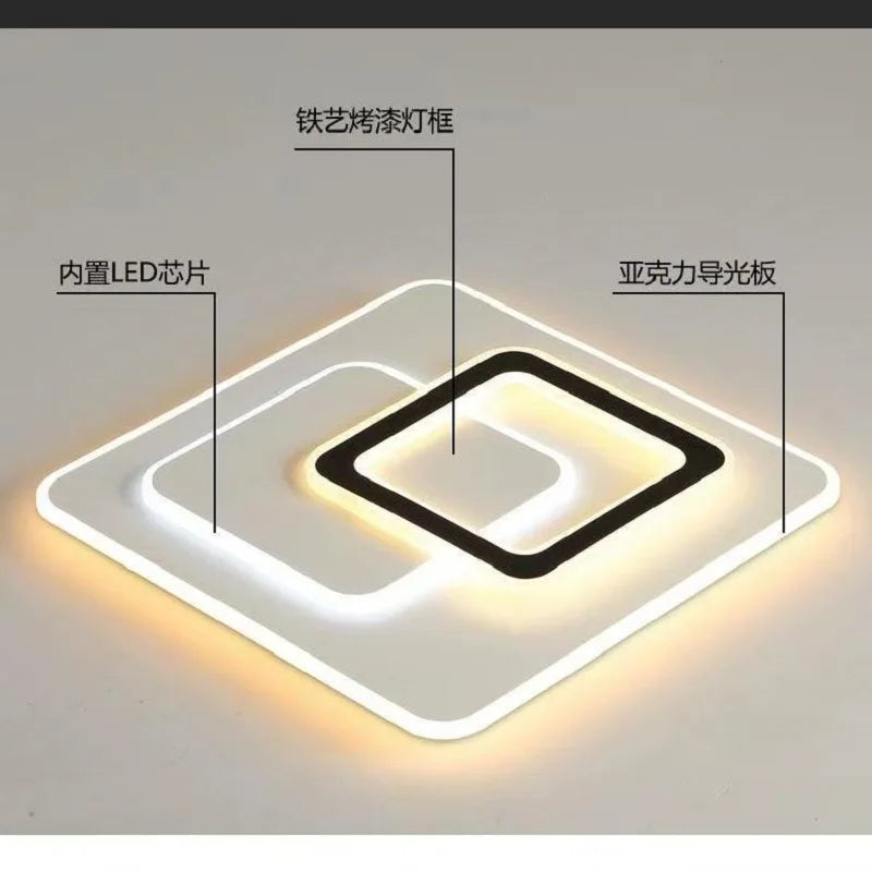 Acrylic Black LED Ceiling Light for Living Room Modern Recessed Ceiling Lamp AC Powered