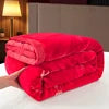 2026 New American Style Double Thickened Home Use Winter Warmth Raschel Blanket